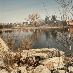 &#39;Baby&#39; Loafers Lake, 1982